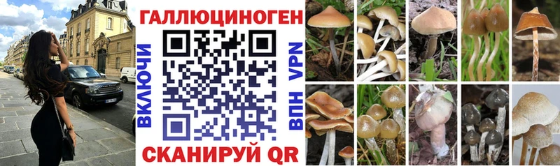 Псилоцибиновые грибы прущие грибы где купить наркоту Таганрог